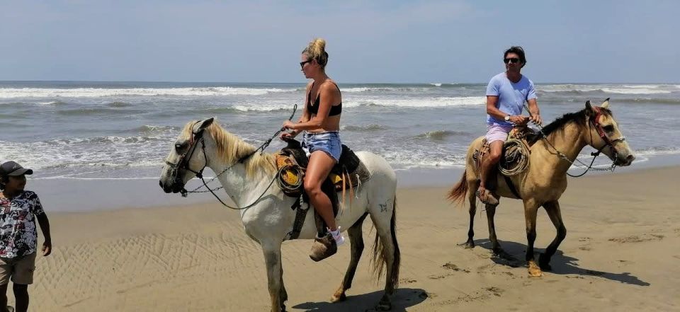 Acapulco: Gentle Beach Horse Riding Tour on Barra Vieja - Tour Overview