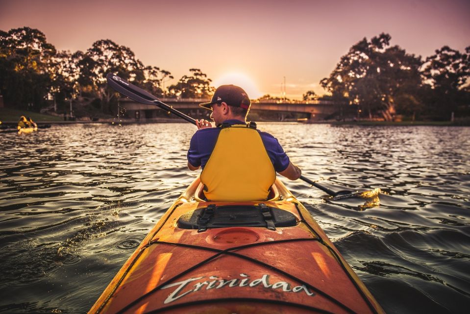 Adelaide: City Kayaking Experience