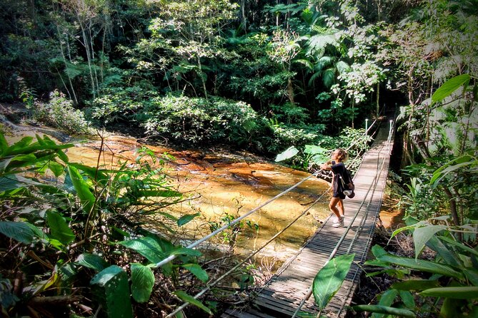Adventure & History at Tijuca Forest (Small Group or Private)
