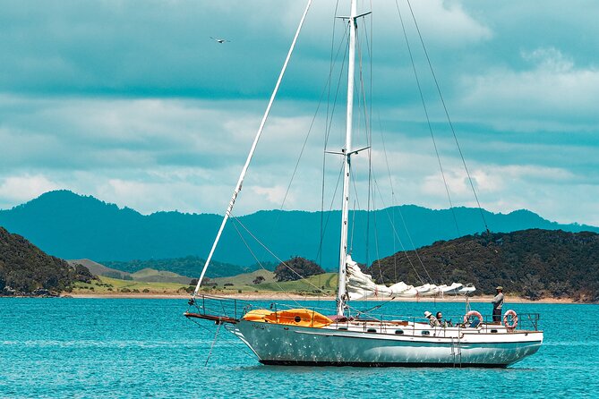 Afternoon Sail - Bay of Islands Vigilant Yacht Charters - Tour Overview