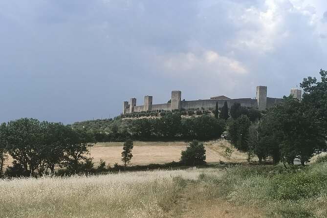 Afternoon Semi Private Chianti Tour From Siena