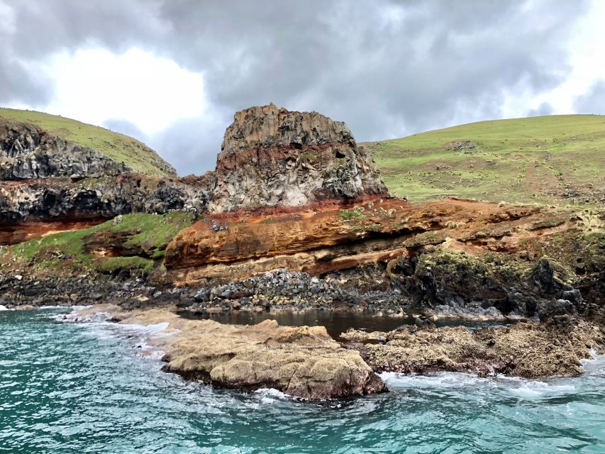 Akaroa/Banks Peninsula Day Tour With Scenic Harbor Cruise