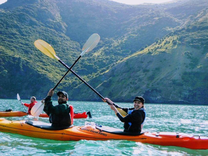 Akaroa: Guided Sea Kayaking Safari at Sunrise