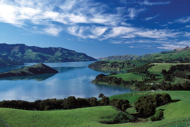 Akaroa Shore Excursion: Banks Peninsula, Christchurch City and Giants House Tour