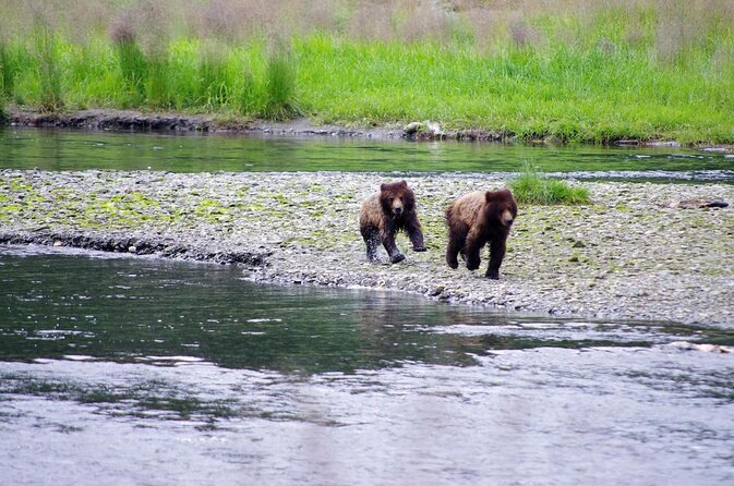 Alaska Ocean Wilderness Expedition