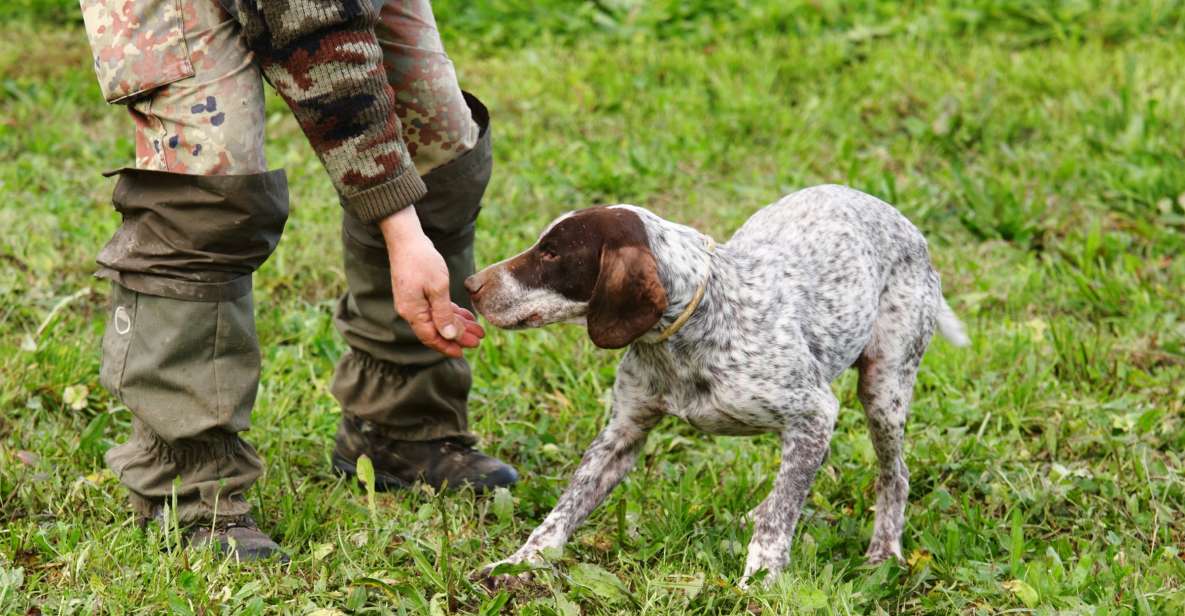 Alba: Truffle Hunting With Cheese, Truffle, & Wine Tastings