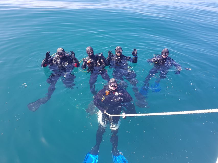 Albufeira: 2 DIVES TRIP (ONLY CERTIFIED DIVERS)