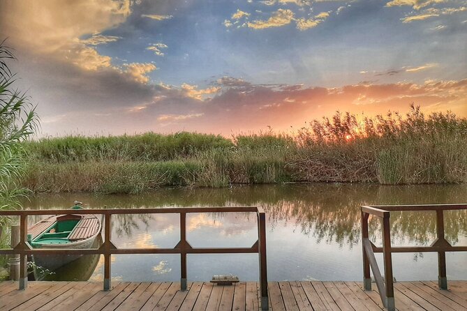 Albufera Natural Park Tour With Boat Ride From Valencia - Pickup and Transportation