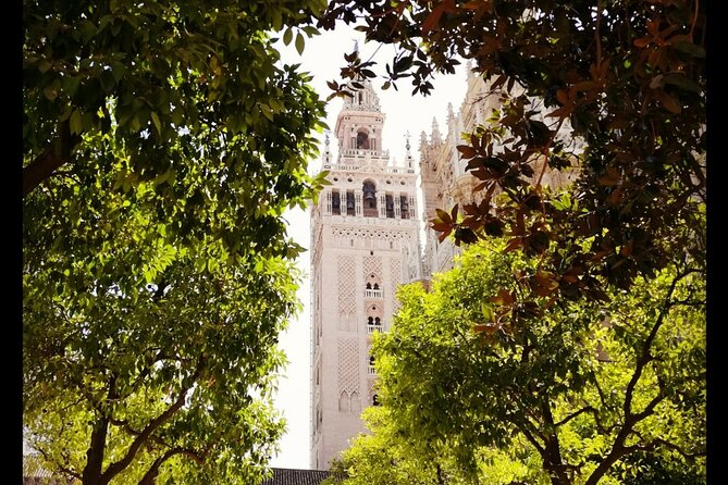 Alcazar and Cathedral of Seville Private Tour