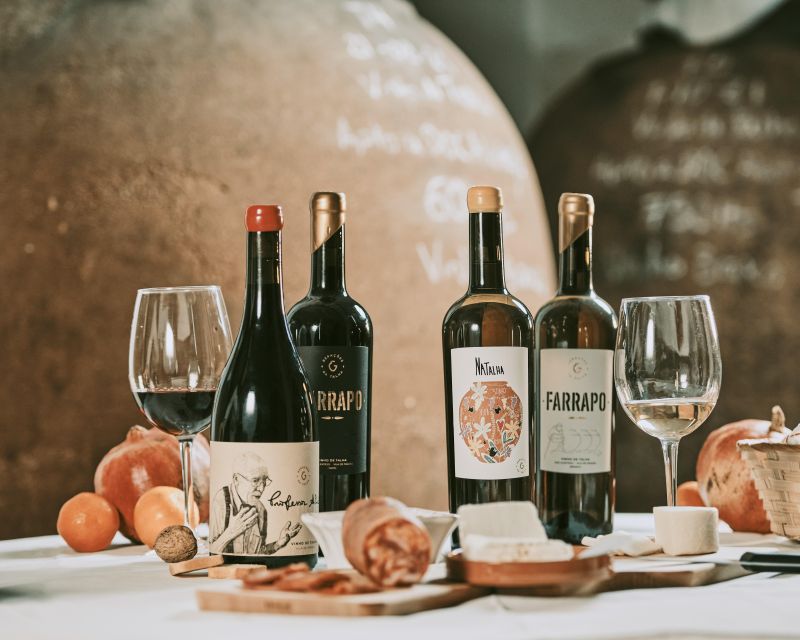 Alentejo: Visit and Taste the Tradition of Talha Wines