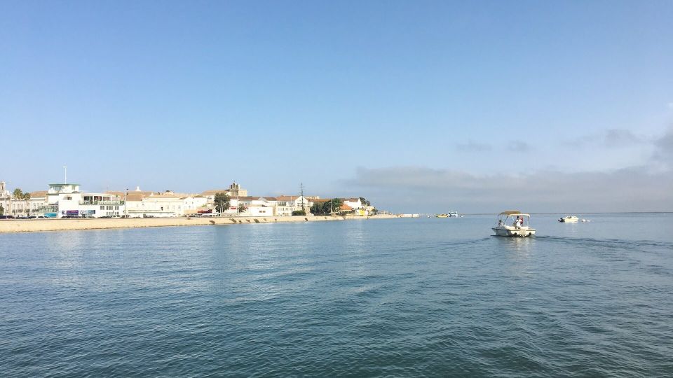 Algarve: Eco Boat Tour in the Ria Formosa Lagoon From Faro