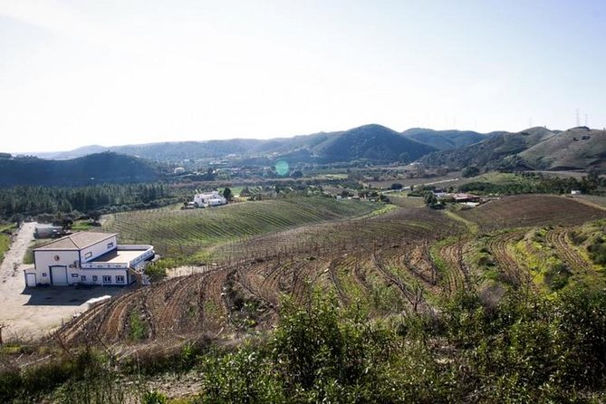 Algarve Wine Tour of Two Wine Estates