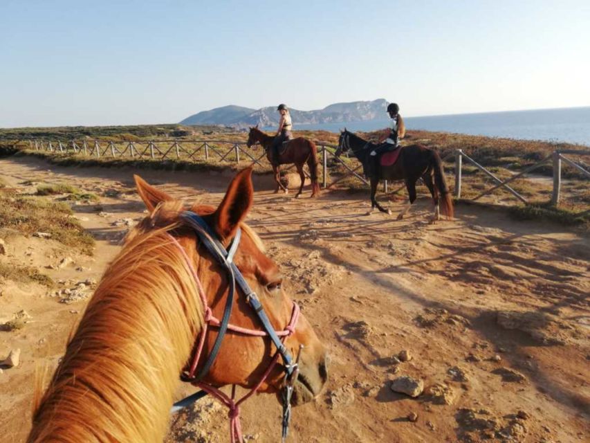 Alghero: Guided Horseback Ride at Lake Baratz & Porto Ferro