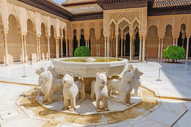 Alhambra Ticket and Guided Tour With Nasrid Palaces