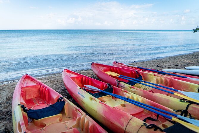 All Day Kayak Rental in Puerto Rico - Location and Overview