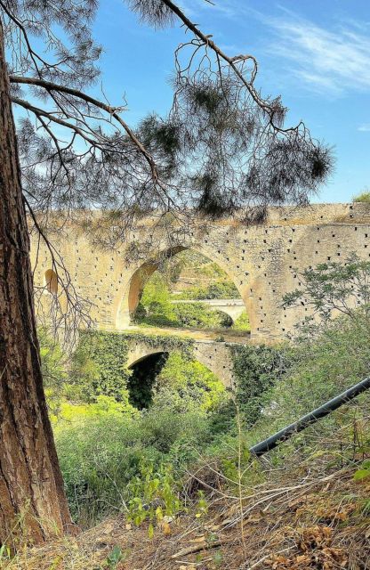 All-Day Knossos Palace Tour & Olive Mill Visit