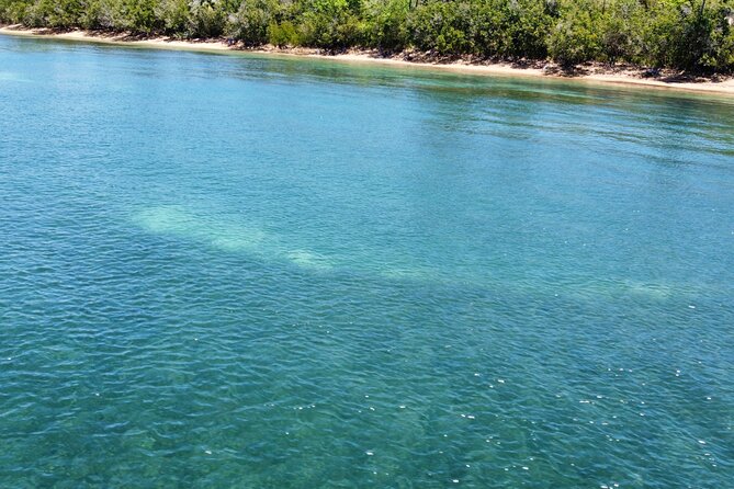 All Day Snorkeling Gear Rental in Puerto Rico