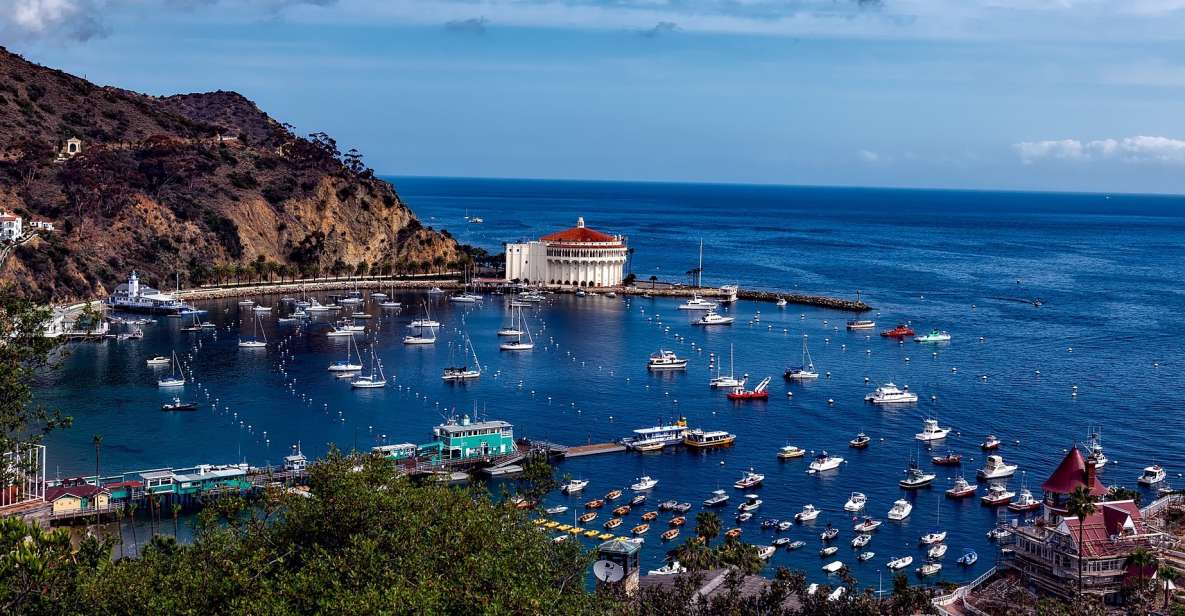 All-Inclusive Guided Tour of Catalina Island From Orange Co