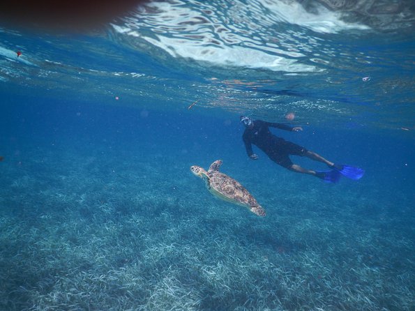 All Inclusive Snorkeling at Hol Chan