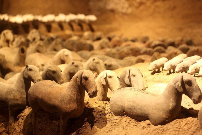 All Inclusive Two-Day Xian Private Heritage Tour