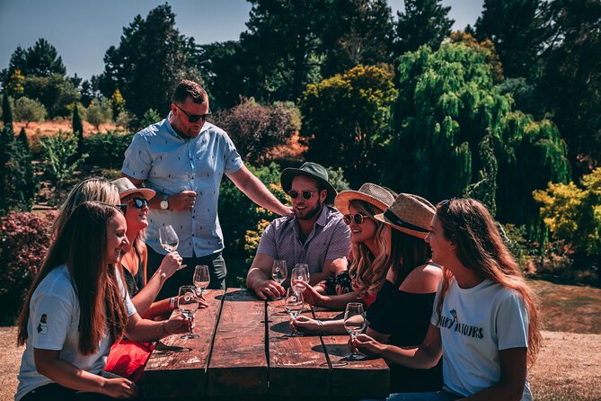 All-Inclusive Waipara Region Wine Tour From Christchurch - Tour Highlights