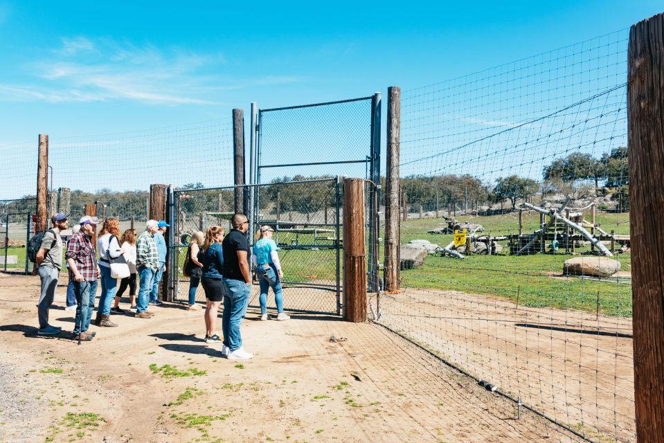 Alpine: Lions Tigers & Bears Animal Sanctuary Guided Visit