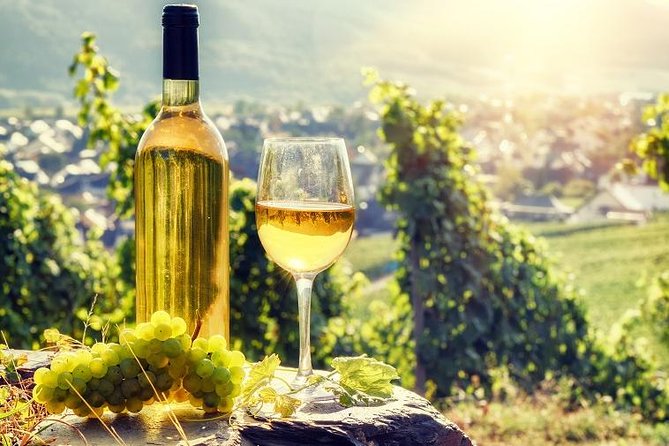 Alsace Half Day Wine Tour From Colmar