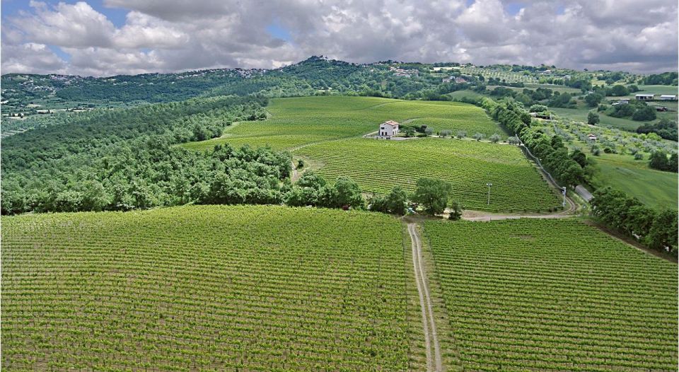 Alta Tuscia Ebike Tour With Visit to Antica Cantina Leonardi