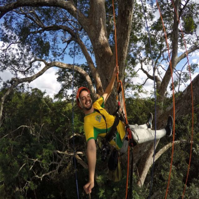 Amazon Jungle 3-Hour Tree Climbing Activity