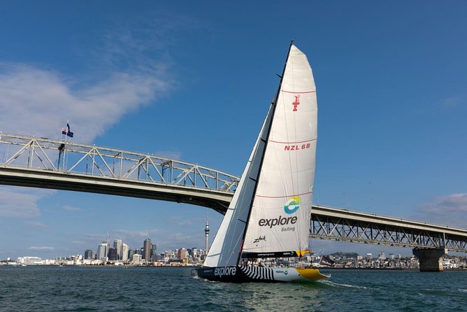 Americas Cup Sailing on Aucklands Waitemata Harbour