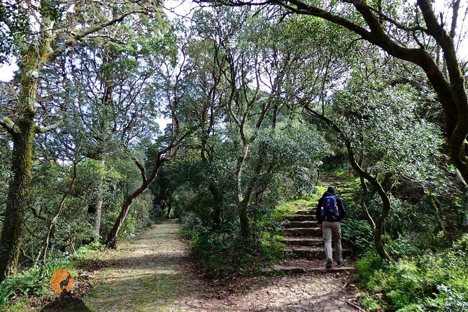 An Adventure Through the Forest and Palace of Bussaco - Coimbra - Overview of Bussaco Adventure