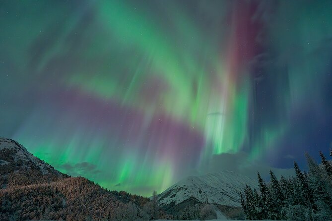 Anchorage Northern Lights Tour