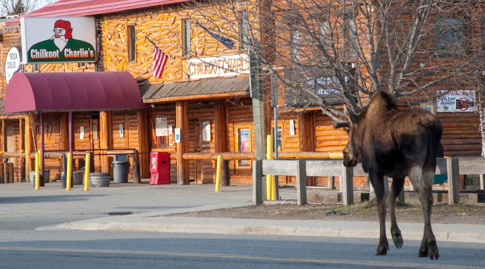 Anchorage: Spenard Area True Crime Walking Tour