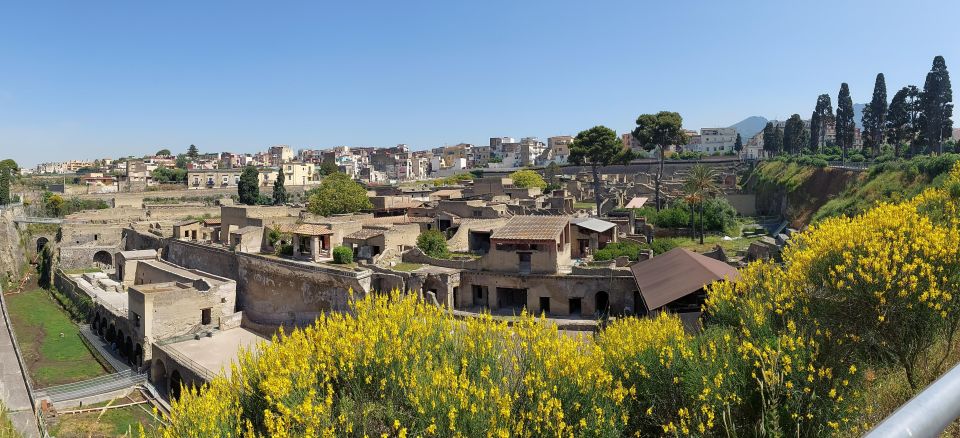 Ancient Herculaneum: 2,5-Hour Guided Tour