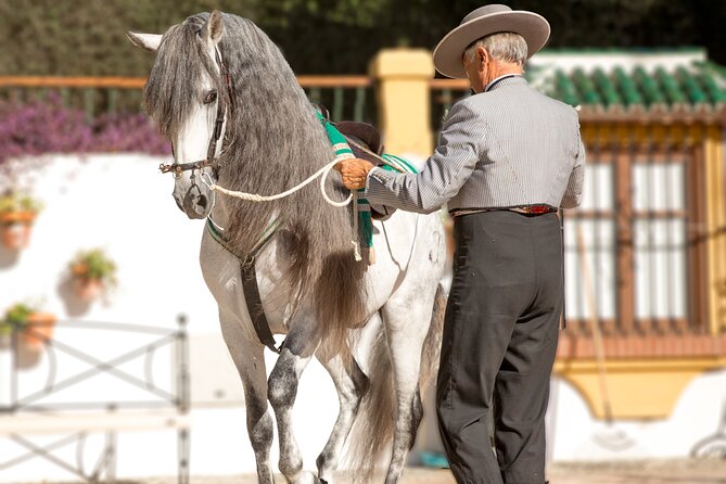 Andalusian Horses and Flamenco Show With Transportation