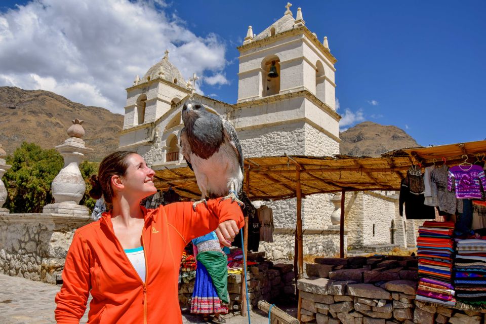 Andes: Colca Canyon Day-Trip - Itinerary and Highlights