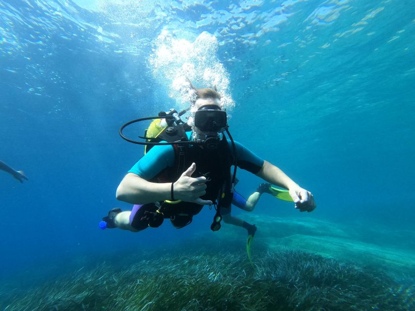 Andros: Get Your Padi Open Water Certificate!