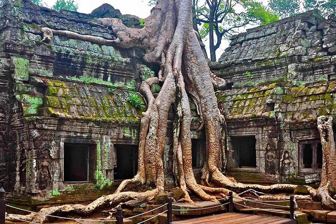 Angkor Wat Sunrise Tours