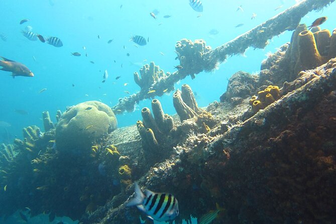 Antilla Shipwreck Seabob Tour