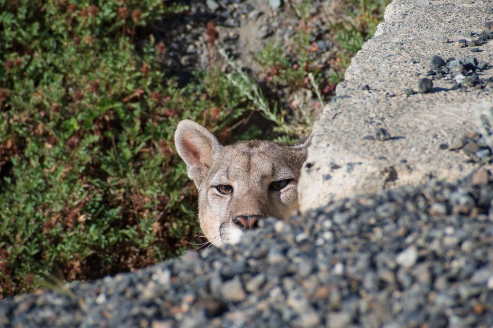 Aonikenk & Nordenskjold Trails: Guided Hike