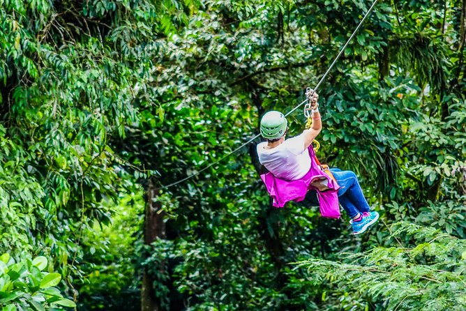 Arenal Canopy and Horseback Riding Adventure