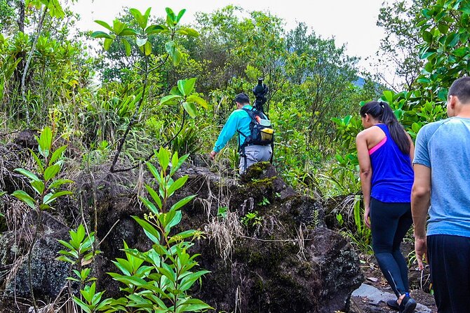 Arenal Volcano Guided Hike Experience