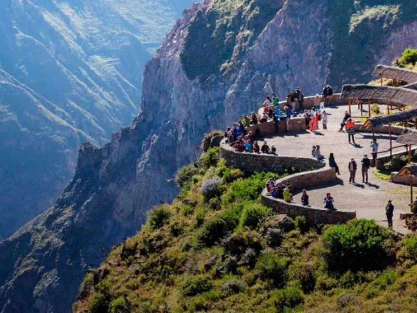 Arequipa: Colca Canyon 1-Day Guided Tour | Condor Flight |