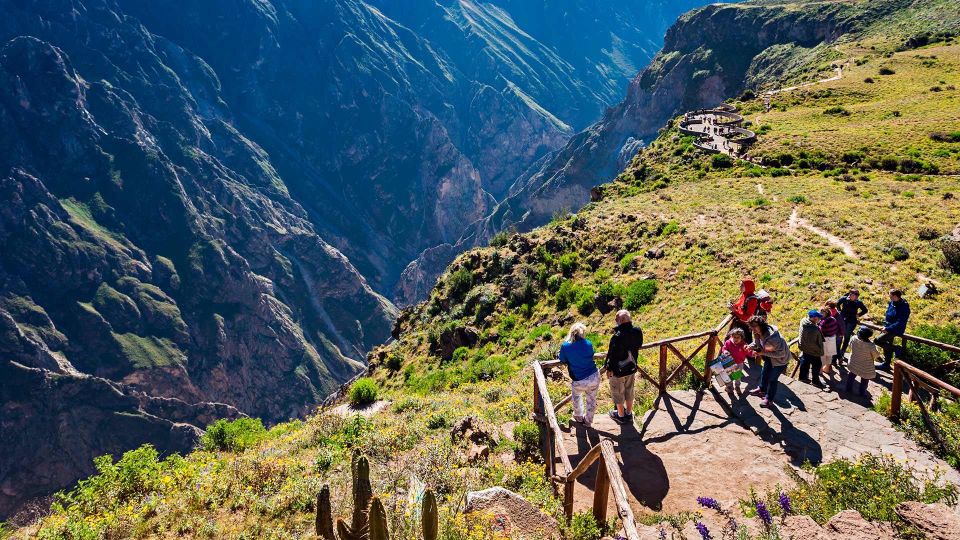 Arequipa: Colca Canyon Excursion + Chacapi Thermal Baths