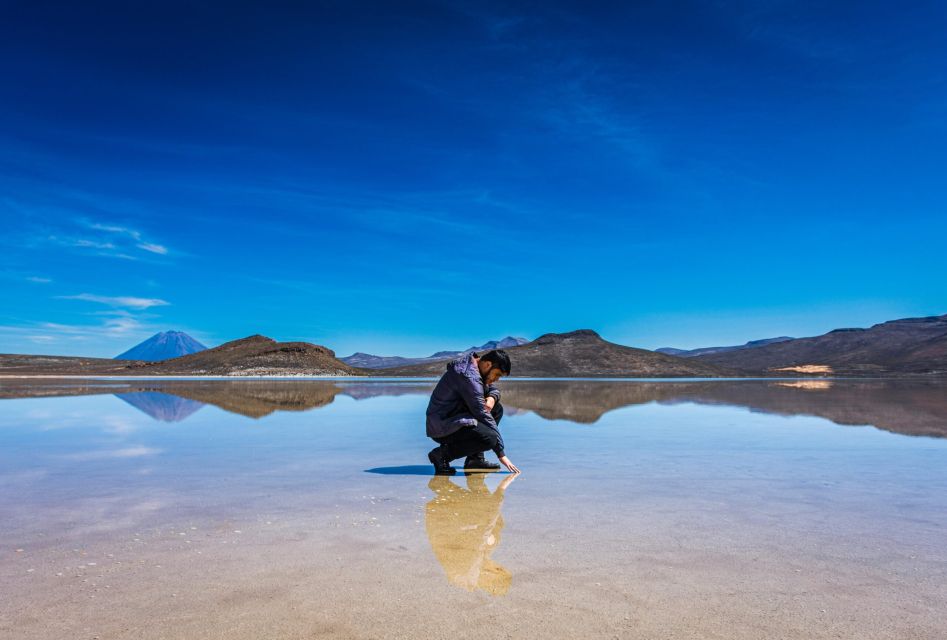 Arequipa: Reserve of Salinas and Aguada Blanca-Lojen Volcano