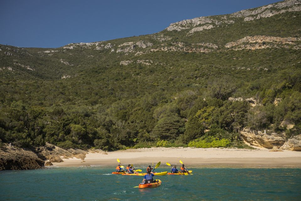 Arrábida Natural Park: Canoeing in Prof. Luiz S. Marine Park