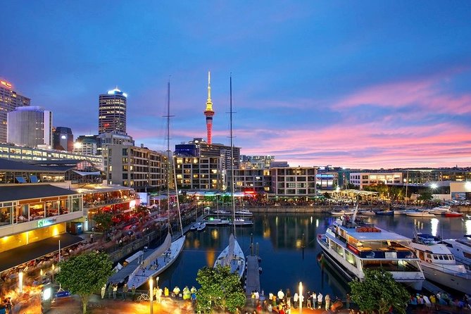 Arrival Private Transfer From Auckland Airport AKL to Auckland in Business Car