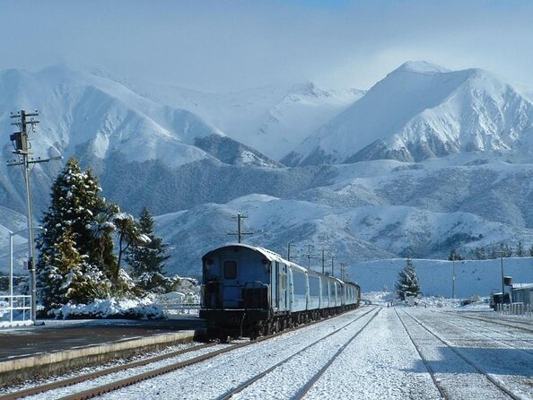 Arthurs Pass and Tranzalpine Train Day Tour From Christchurch