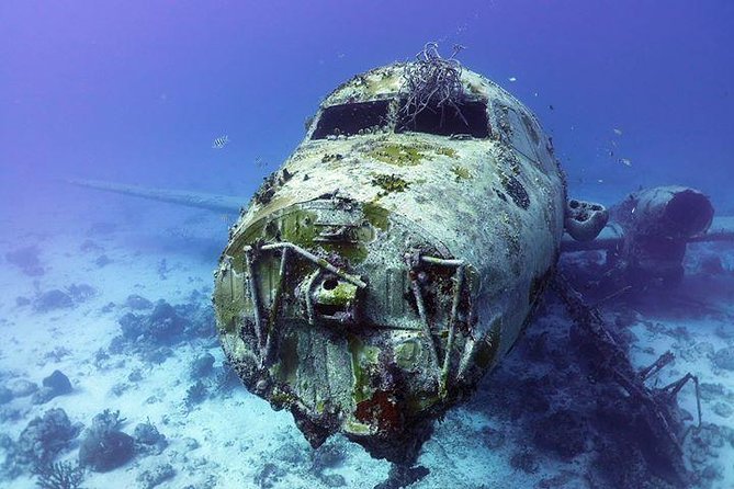 Aruba 2-Tank Guided Dive for Certified Divers With Own Equipment