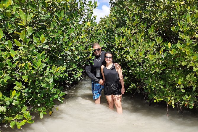 Aruba Glass Bottom Kayak Tour Through the Mangrove Forest